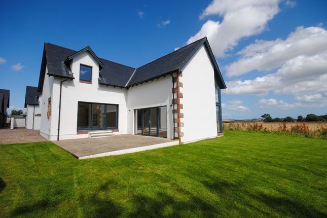 Thumbnail Link-detached house for sale in Cotton Of Colliston, Arbroath, Angus