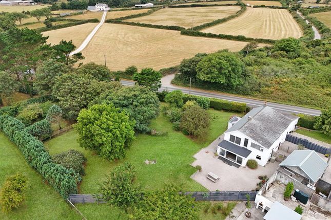 Higherwell Farm, Hendra Croft, Newquay photo 2