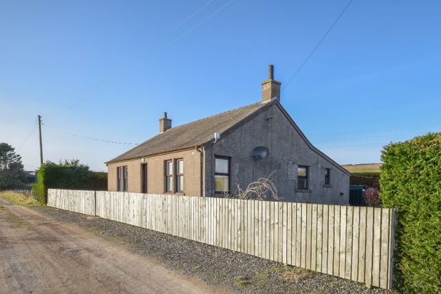 Thumbnail Detached house to rent in West Denside Farm, Monikie, Dundee