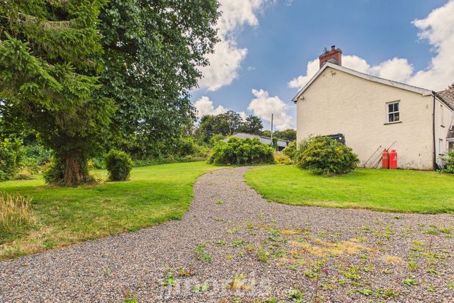 Lower End Town House, Lampeter Velfrey, Narberth photo 3