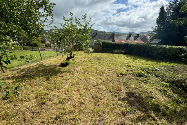 Brynteifi, Llanybydder photo 2