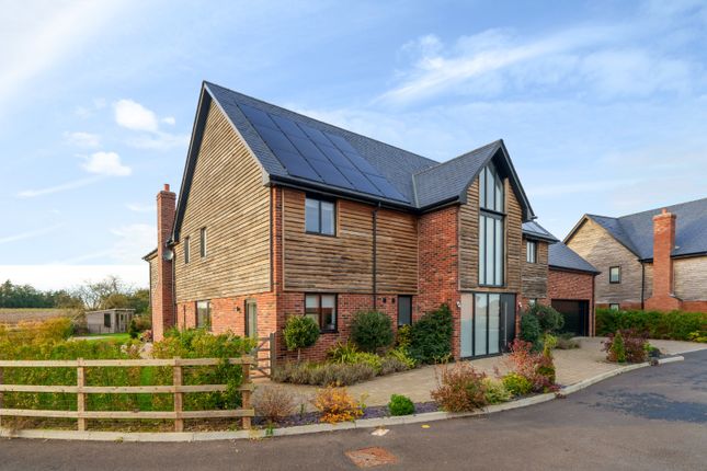 Thumbnail Detached house for sale in Colliery Lane, Hammill, Woodnesborough