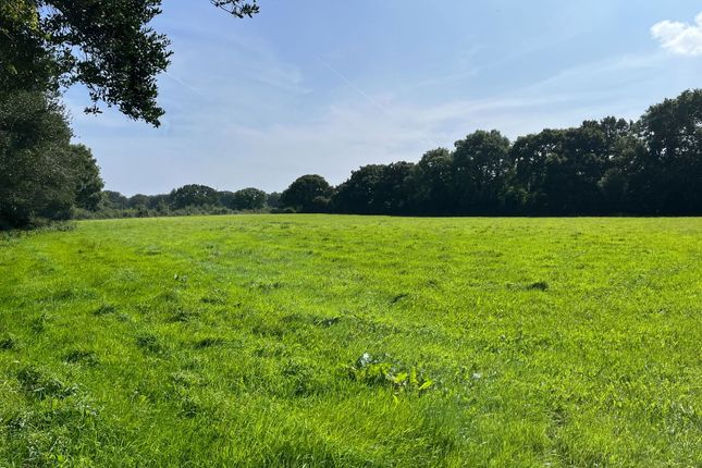 Thumbnail Land for sale in South Brent