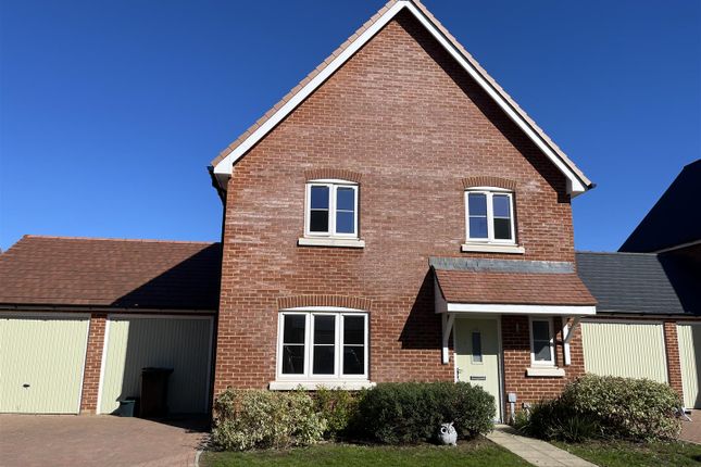 Photo 06-10-2025, 13 19 53.Jpg