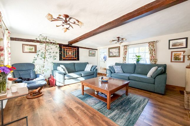 Clay Cottage, Southburgh Road, Norfolk photo 2
