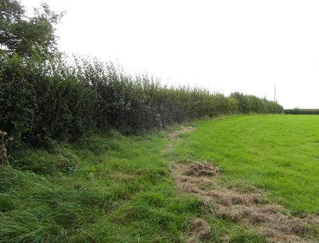 Land for sale in Rushmead Lane Upper South Wraxall, Bradford-On-Avon
