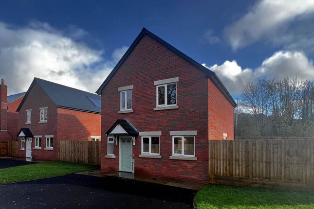 Thumbnail Detached house to rent in Rainbow View, Llandrindod Wells