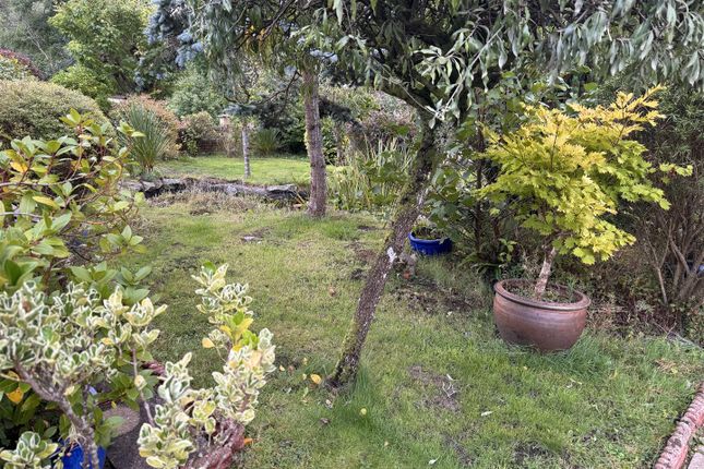 2 Mountain Grove, Wernoleu Road, Ammanford photo 4