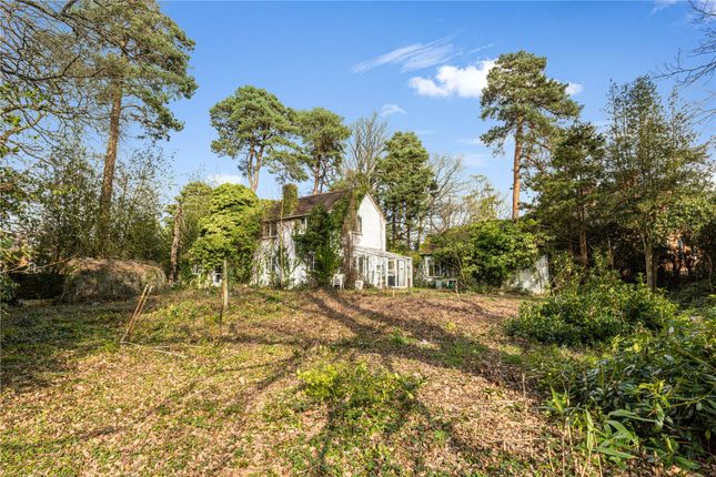Land for sale in Devenish Road, Sunningdale, Berkshire