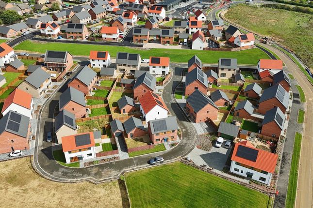 Equinox, Plot 124, Cygnet Rise, Swaffham photo 2