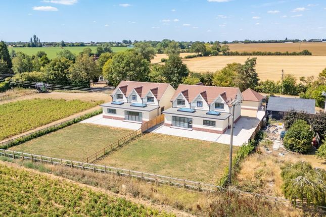 Billtan, White Roding, Dunmow photo 2