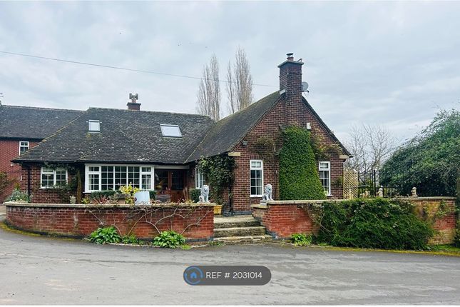Thumbnail Detached house to rent in Tonge Lane, Breedon-On-The-Hill, Derby