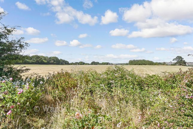 Swallow Court, Herne Common, Herne Bay photo 2