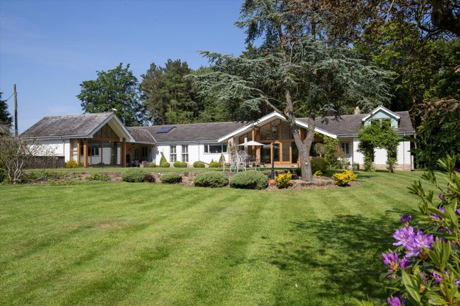 Thumbnail Bungalow for sale in Heathwaite, Swainby, Northallerton, North Yorkshire