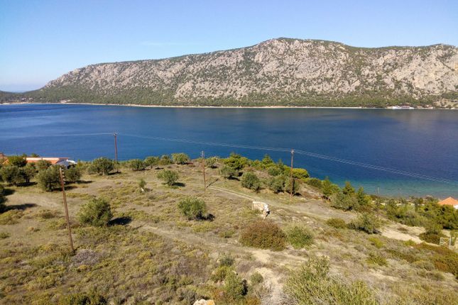 Land for sale in Perachora, Korinthia, Peloponnese