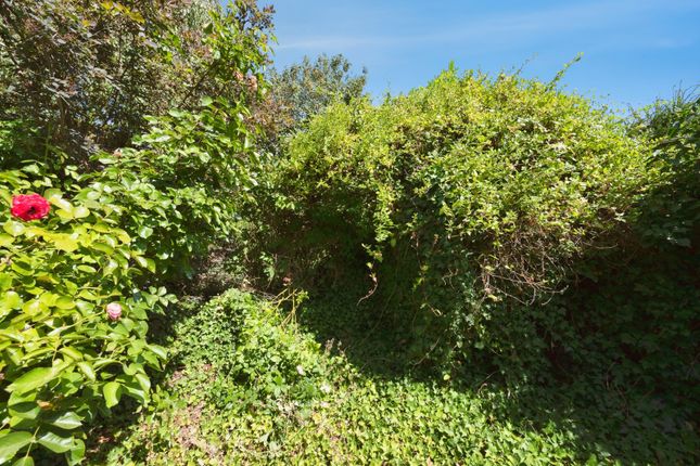 106, Anyards Road, Surrey photo 4