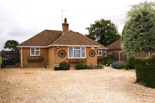 Thumbnail Bungalow for sale in Albert Road, Corfe Mullen, Wimborne, Dorset