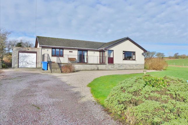 Thumbnail Bungalow for sale in Blackwaterfoot, Isle Of Arran