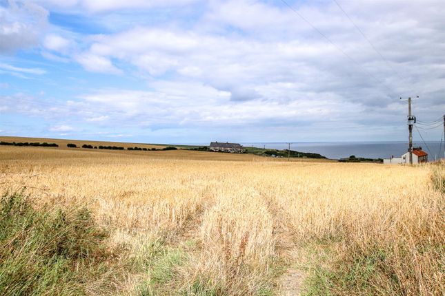Studio for sale in Cliff Cottages, Port Mulgrave, Saltburn-By-The-Sea