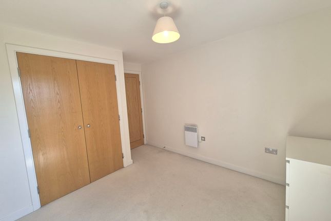 146, Cardiff photo 5