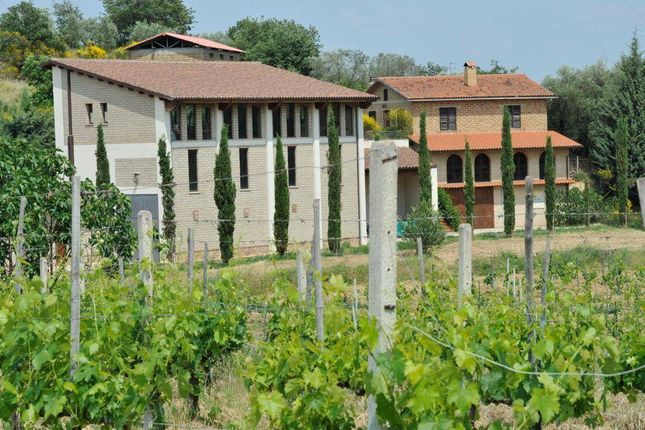 Thumbnail Property for sale in Montepulciano, Montepulciano, Toscana