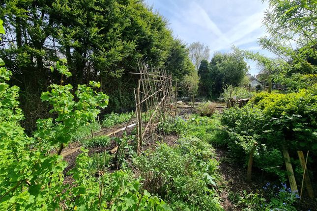 Terraced house for sale in New Street, Torrington