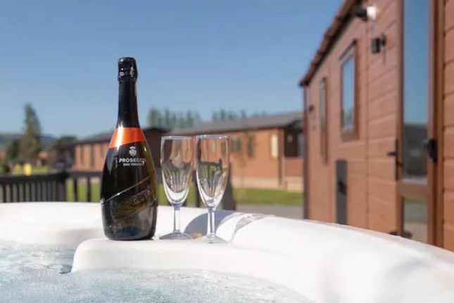 Pathfinder Tuscany, Maesmawr Farm Resort, Newtown photo 2