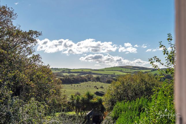 1 Nettlecombe Cottages Nettlecombe Lane, Ventnor photo 4