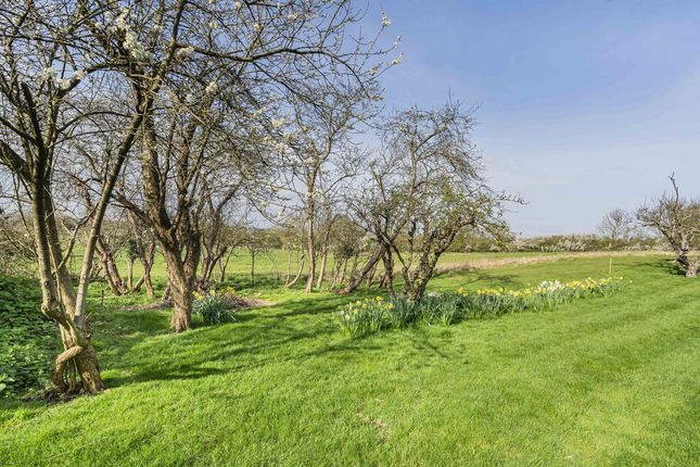 Detached house for sale in Fox Lane, Oxford