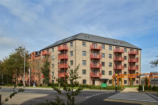 Tayfen Court