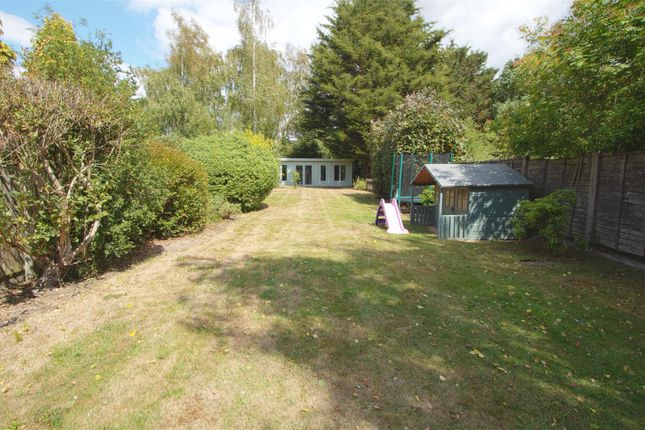 Garden 4.Jpg