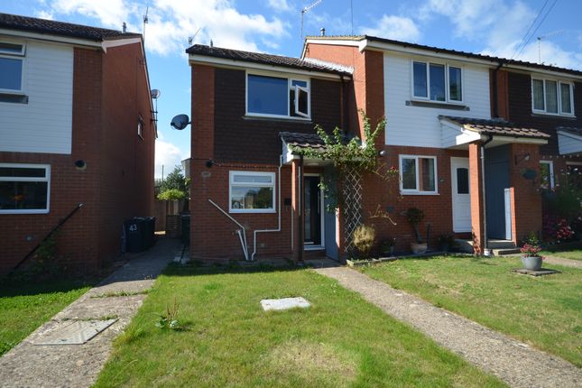 Thumbnail Property to rent in Mistley Close, Bexhill-On-Sea