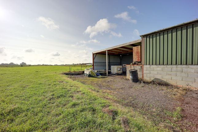 Detached bungalow for sale in Stone House Road, Upwell