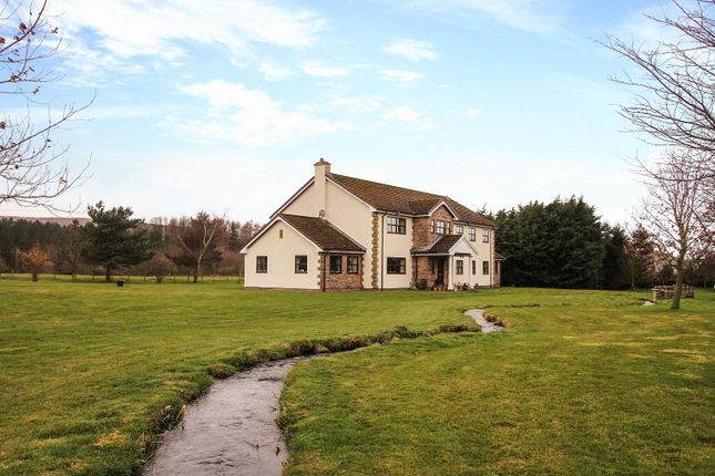 Thumbnail Detached house for sale in Peth Head, Wooler