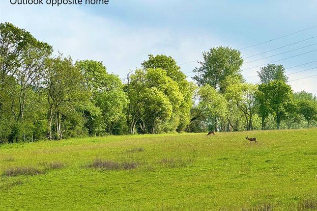62 Glendene Park,,, Bashley Cross Road, New Milton photo 2