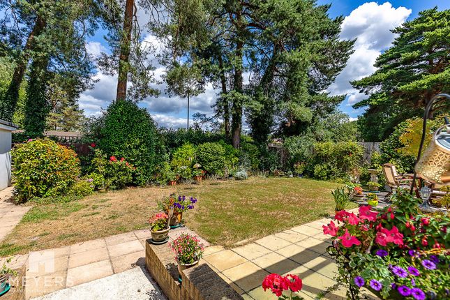 4, Maple Drive, Ferndown photo 2