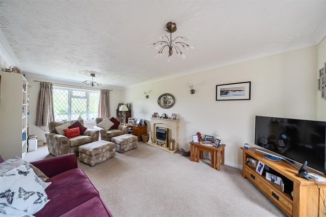 Skyline Drive, Station Road, Sturminster Newton photo 4