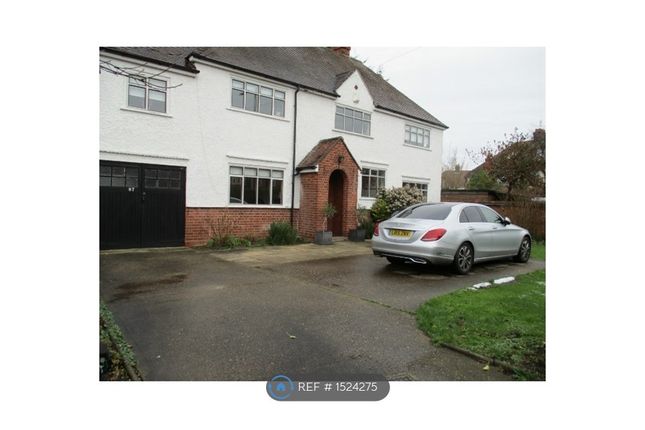 Thumbnail Detached house to rent in Bromham Road, Bedford