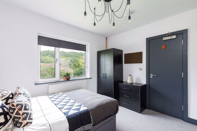 63 MASTER Hornby Road, Brighton photo 5