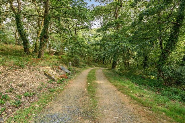 Forresters Lodge,, Mawgan, Cornwall photo 4