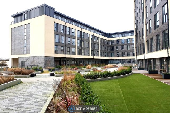 Roof Garden