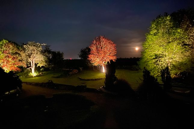 Top Deck Lawn By Night