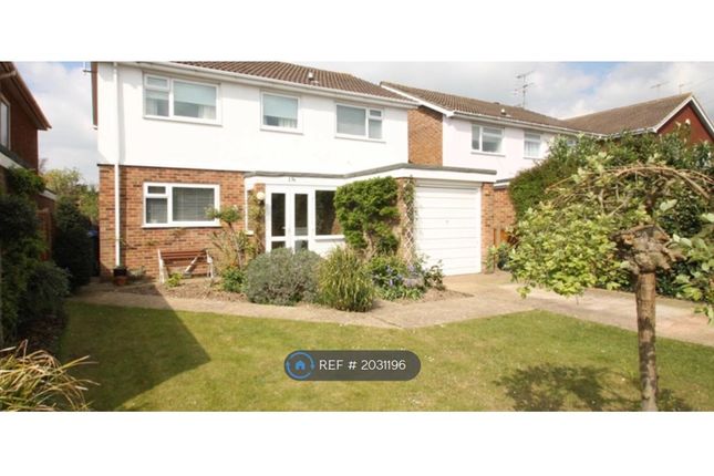 Thumbnail Detached house to rent in Cissbury Road, Worthing