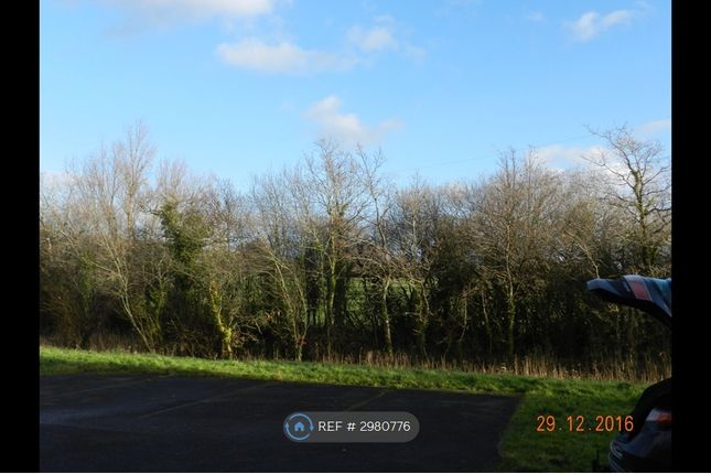 Tenby Close, Celtic Horizons, Newport photo 2