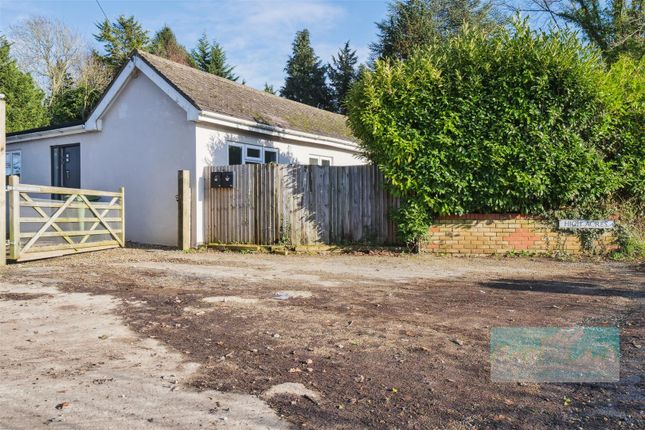 Detached bungalow to rent in Otford Lane, Halstead, Sevenoaks TN14