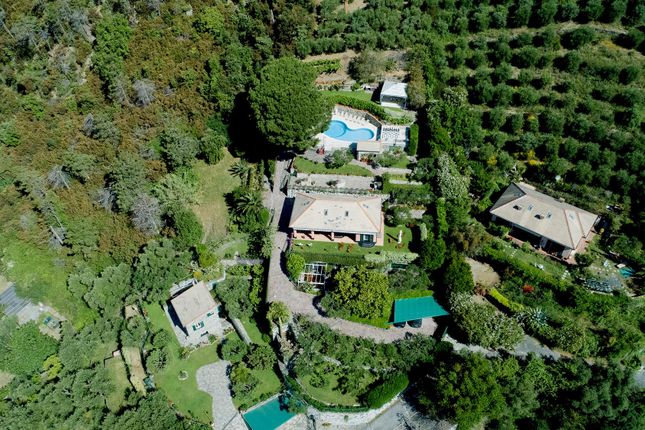 Thumbnail Villa for sale in Bonassola, Liguria, Italy