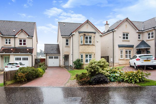 Thumbnail Detached house for sale in Silver Birch Drive, Baldovie, Broughty Ferry, Dundee