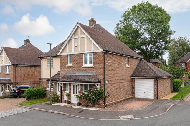 Semi-detached house to rent in Whitebeam Close, Epsom