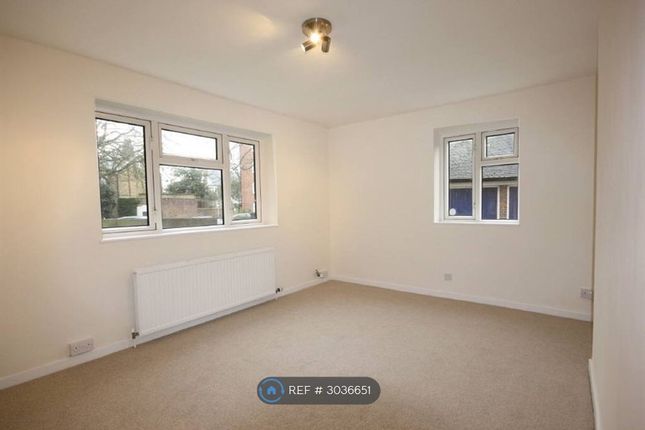 The Willoughbys, London photo 5