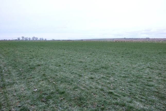 Land for sale in Watten, Wick